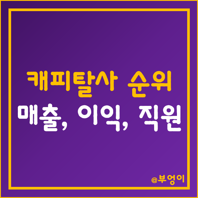국내 캐피탈 순위 및 종류 (자동차 캐피탈사/할부금융사 매출액, 영업이익, 당기순이익, 자본잉여금, 직원수 등) 국내 캐피탈 순위 및 종류 (자동차 캐피탈사/할부금융사 매출액, 영업이익, 당기순이익, 자본잉여금, 직원수 등)