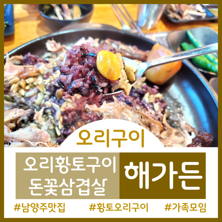  [남양주 맛집]남양주 오남호수공원 산책 후 가족들과 몸보신한 오리황토구이집맛집 해가든