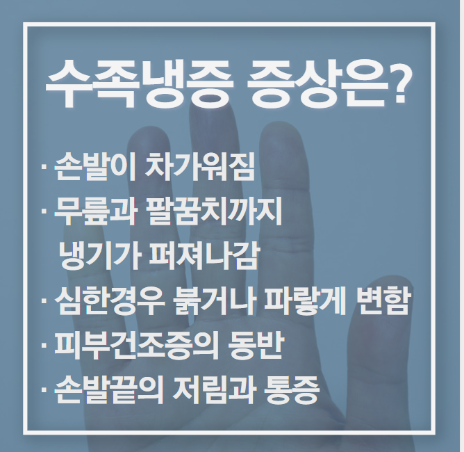 수족냉증의 원인 및 증상_적정체온, 면역력, 자율신경계와의 관계 4