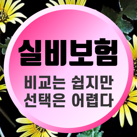  실비보험료 비교는 쉬워도 선택은 어려운 이유