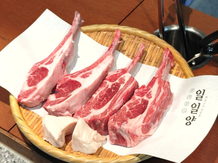  동백 양갈비 양고기 맛집 일일양