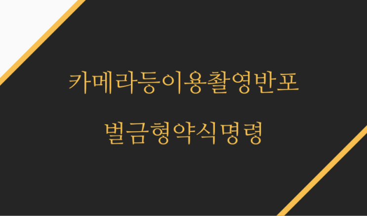  불법 카메라등이용촬영 및 반포 등 벌금형 약식명령 사례
