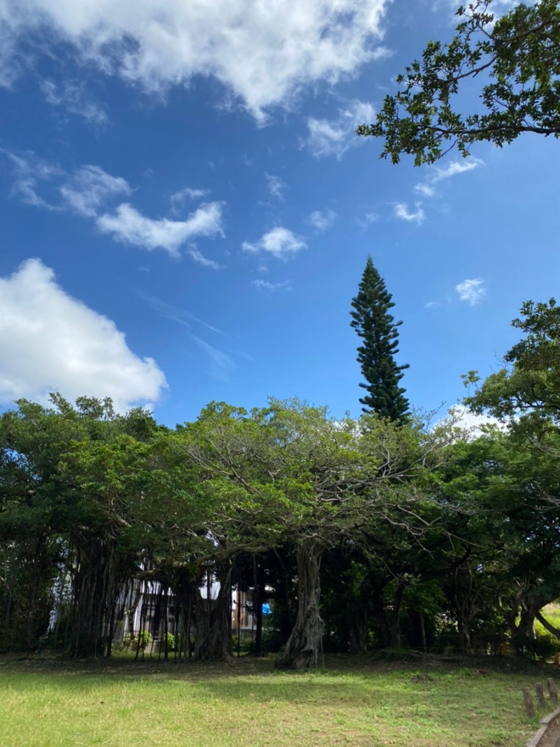 오키나와 국제거리 호텔 토요코인 오키나와 나하 코쿠사이도오리 미에바시 에키 : 네이버 블로그