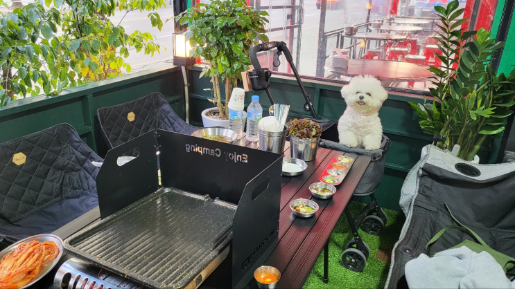  강아지와 함께 김치삼겹살을 먹을 수 있는 돼슐랭 계산점
