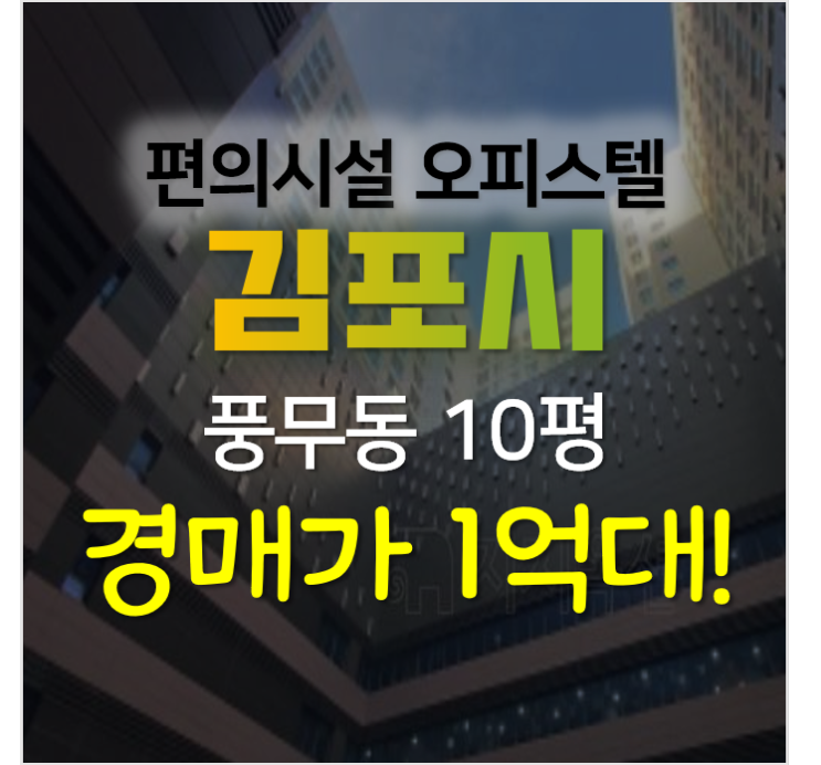 김포 풍무동 웰라움퍼펙트시티 원룸형 오피스텔 1억대 경매
