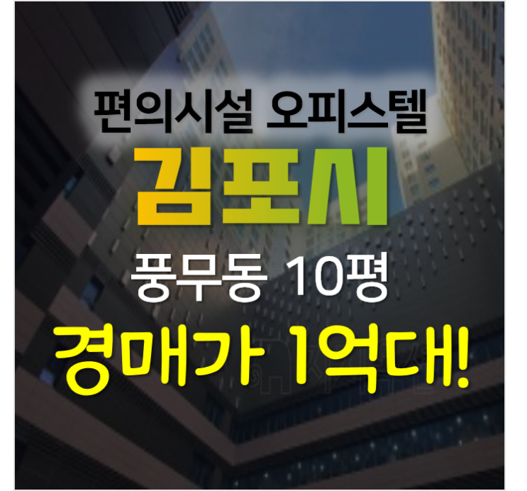김포 풍무동 웰라움퍼펙트시티 원룸형 오피스텔 1억대 경매 김포 풍무동 웰라움퍼펙트시티 원룸형 오피스텔 1억대 경매