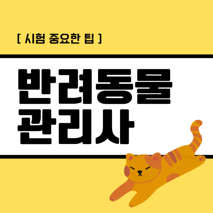 반려동물관리사 자격증 시험 중요한 팁 반려동물관리사 자격증 시험 중요한 팁