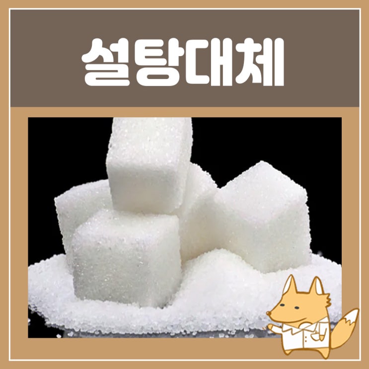 설탕대신 에리스리톨 알룰로스 스테비아 효능 설탕대체