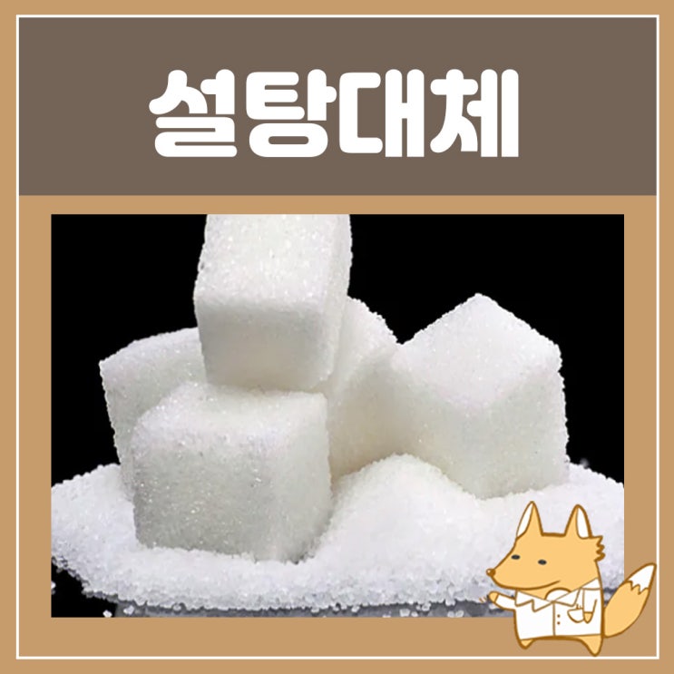 설탕대신 에리스리톨 알룰로스 스테비아 효능 설탕대체