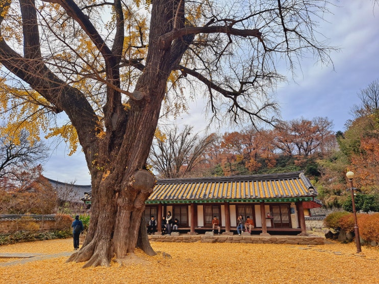  [전북 전주] 전주 한옥마을(1) - 전주향교 (한옥마을 주차 팁)