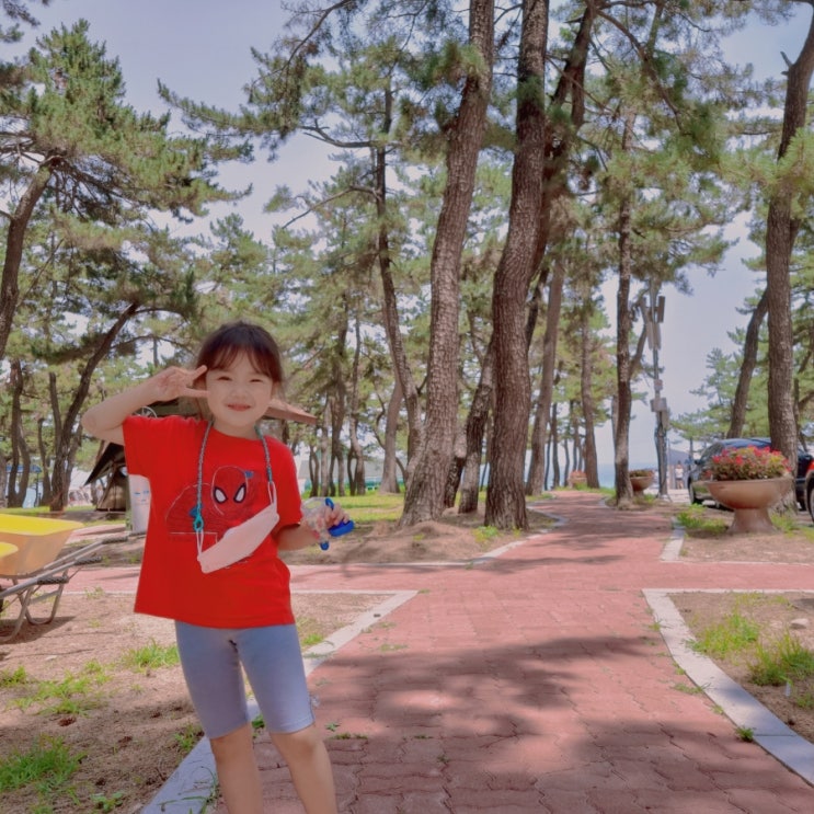  [일탈] 연곡솔향기캠핑장