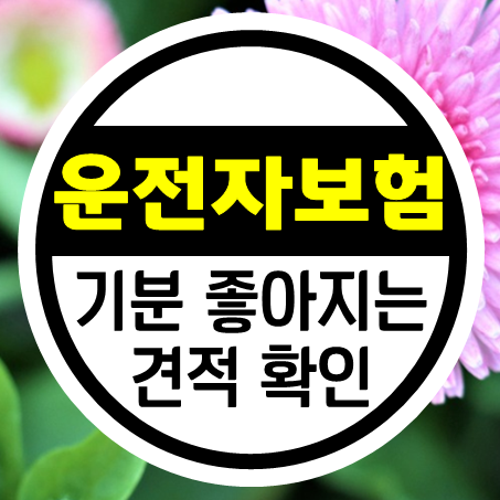  운전자보험 가격 비교해 보고 나도 모르게 웃음이 나왔다.