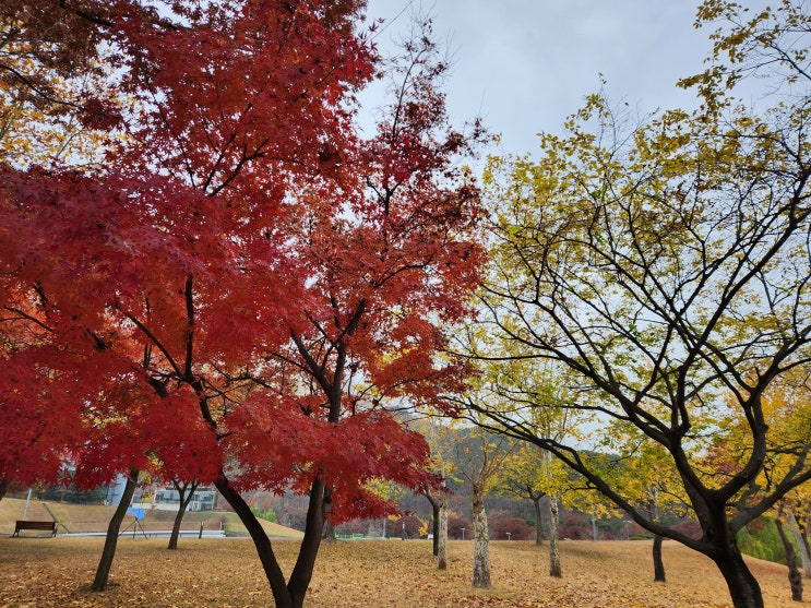  고지 의무 없어 사기죄 불성립 하는 경우 2