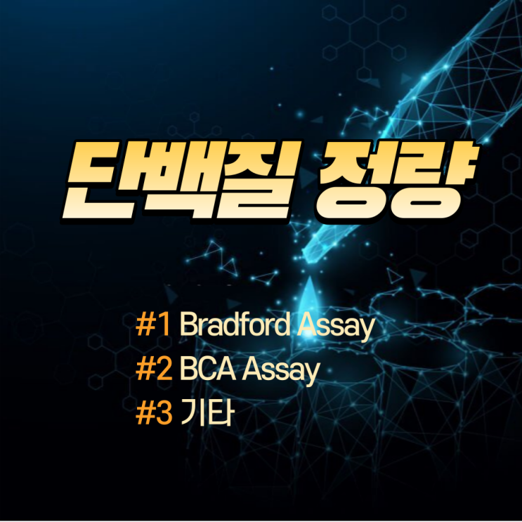  단백질 정량 | BCA assay , Bradford assay