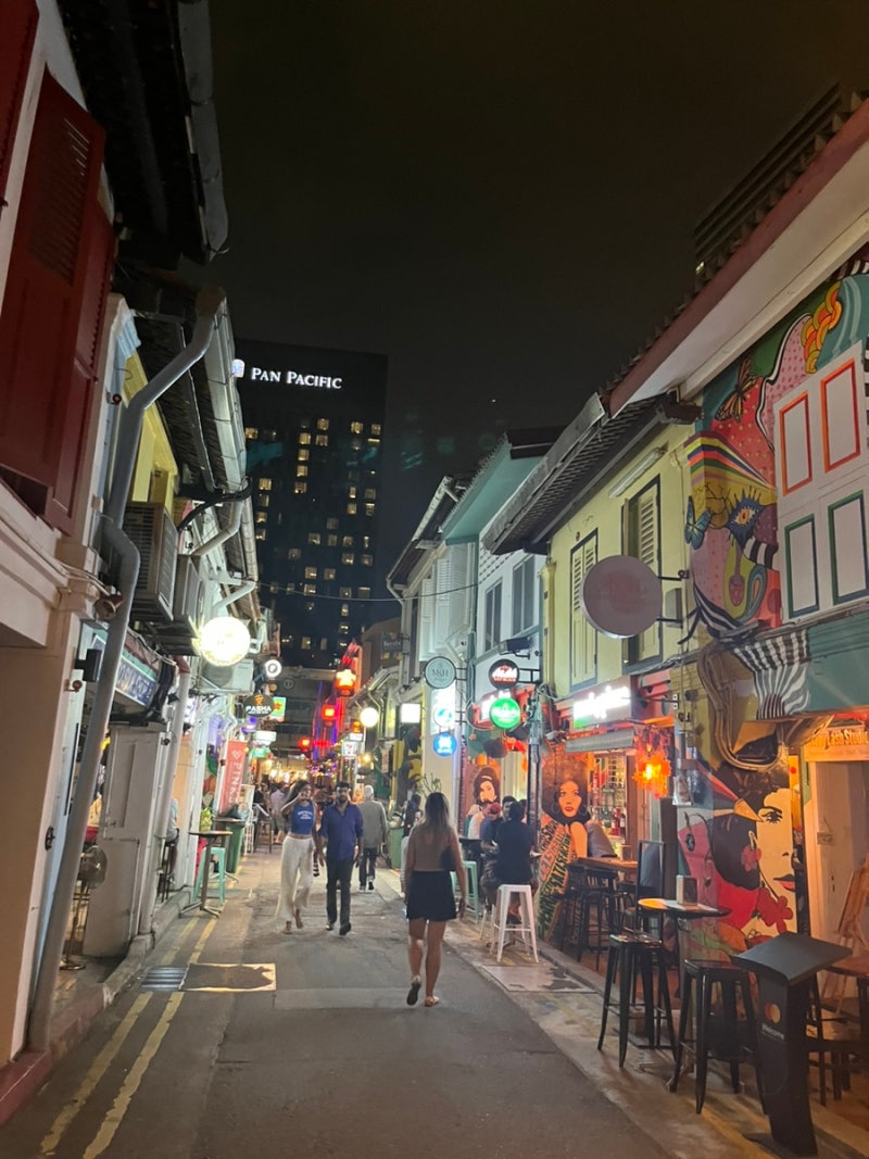 싱가포르 관광지 추천, 하지레인(아랍거리)새우국수 먹고 소품샵구경 : 네이버 블로그