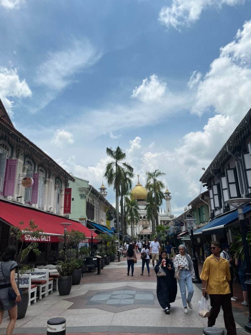 싱가포르 관광지 추천, 하지레인(아랍거리)새우국수 먹고 소품샵구경 : 네이버 블로그