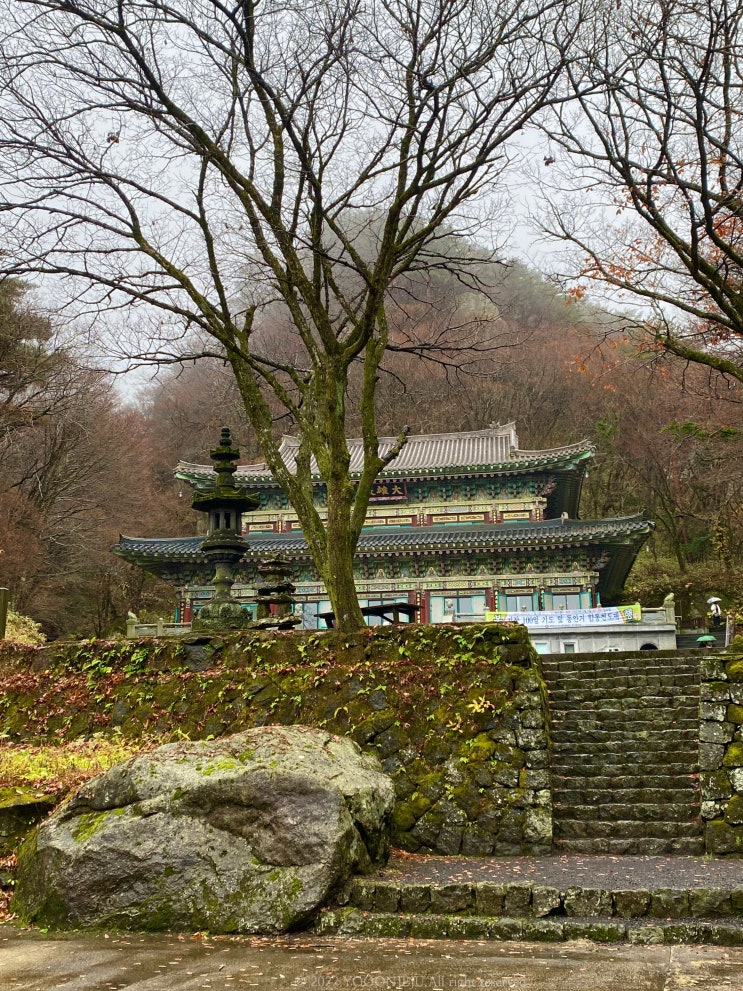  제주도 비오는날 가볼만한곳 가족여행으로 재방문한 천왕사 운치있어요