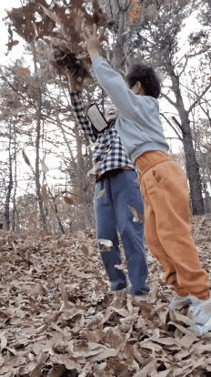  고운뜰공원 세종 숲 체험 모두의 놀이터