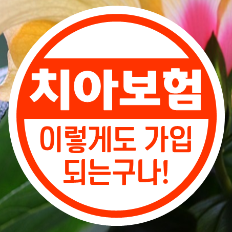  유아 치아보험 요즘은 이렇게도 가입되는구나!