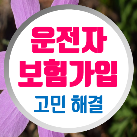  운전자보험료, 고민 해결해 주는 회사가 나타났다!
