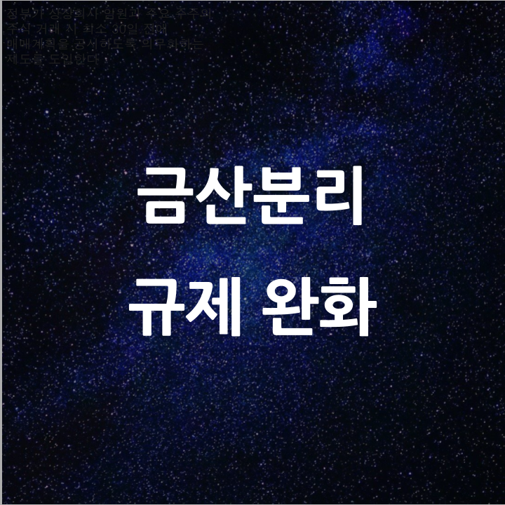  금산분리 규제 완화 l 필수 금융 뉴스