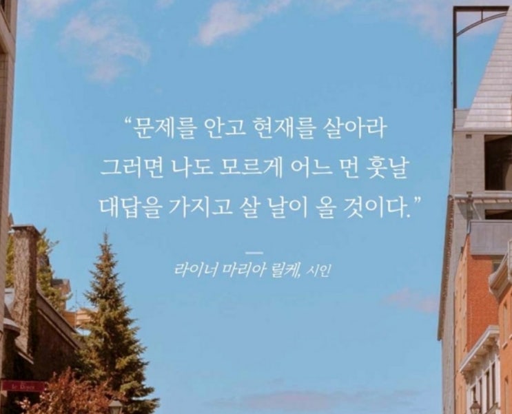  부거사이 [부동산 뉴스와 블로그] 11월 21일(월)