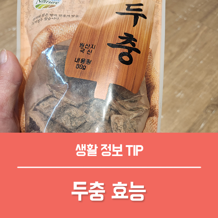  두충나무껍질 두충 효능 4가지, 두충차 만드는법