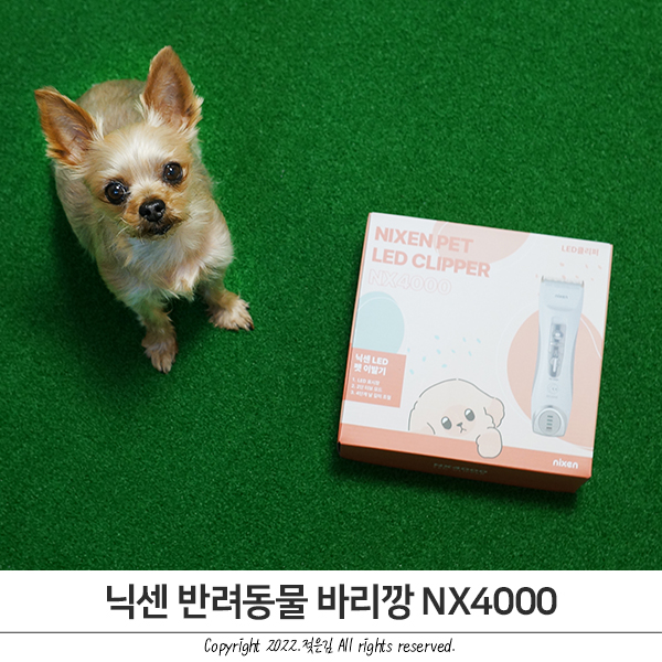 강아지 셀프미용 사용이 편리한 닉센 강아지바리깡