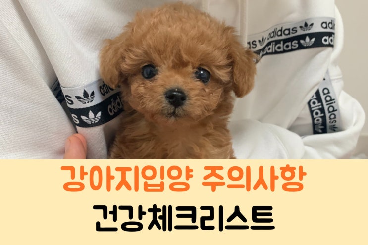  강아지 입양시 주의사항, 건강 체크리스트