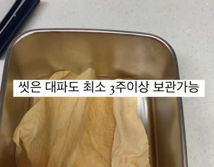  대파보관 이렇게 하면 냉장으로 한달보관 쌉가능