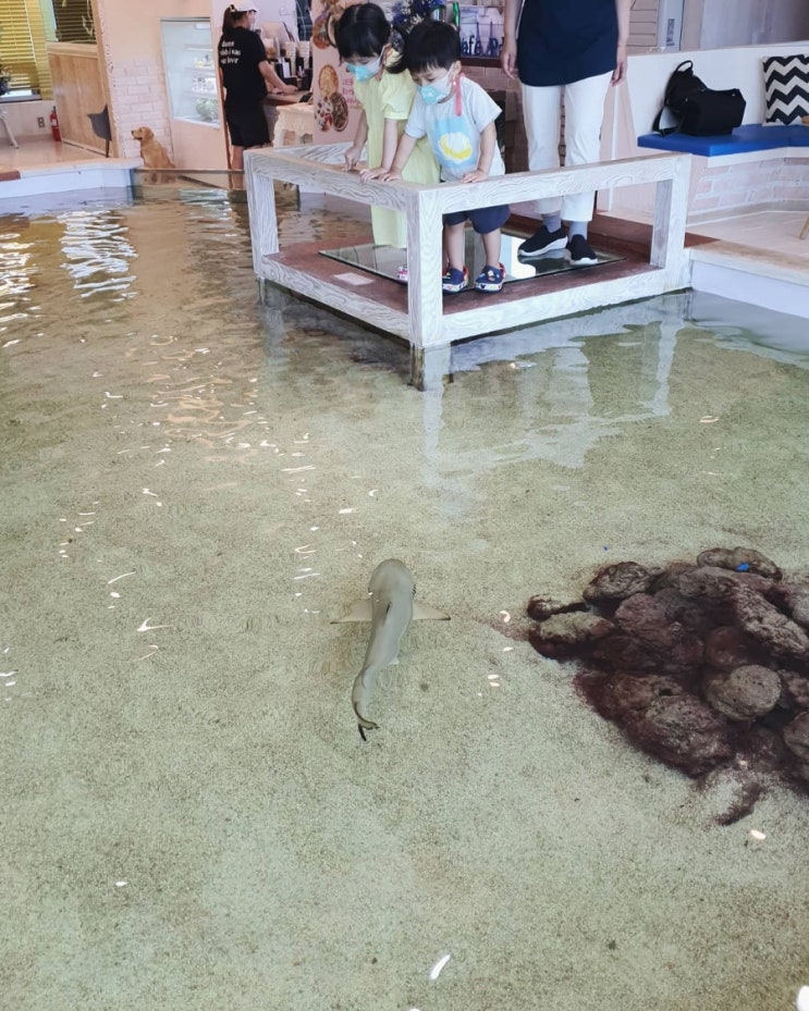  지난 일기:) 어머니 환갑 기념, 1박2일 가족여행가평 아쿠아리움 카페 '파리'