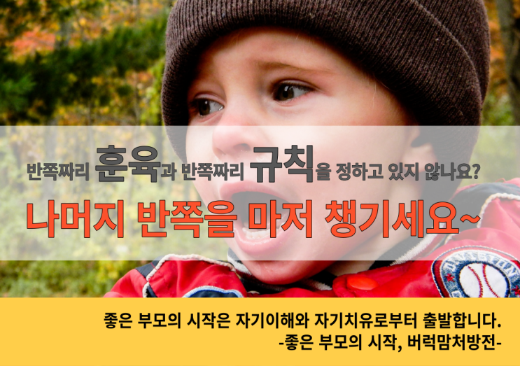  반쪽짜리 훈육방법과  반쪽짜리 규칙정하기 | 놓치고 있었던 반쪽을 마저 찾으세요~
