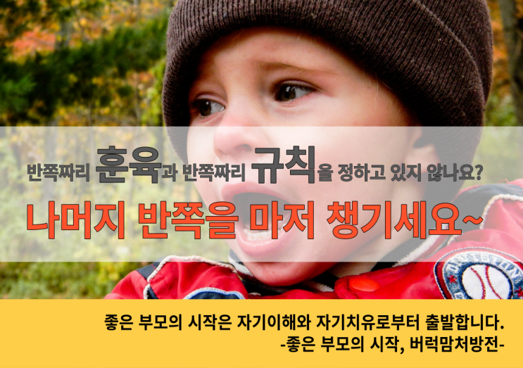 반쪽짜리 훈육방법과  반쪽짜리 규칙정하기 | 놓치고 있었던 반쪽을 마저 찾으세요~