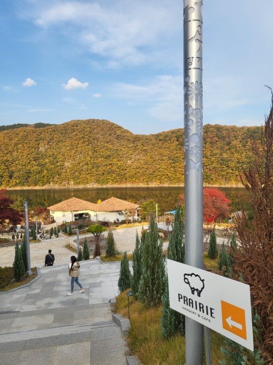  대전 근교 가볼만한 곳 충북 옥천 단풍명소 장계유원지 카페 플라히에