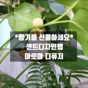  심신안정에 도움 주는 센트디자인랩 아로마 디퓨저 차량용 꿀잠용 방향제 선물세트
