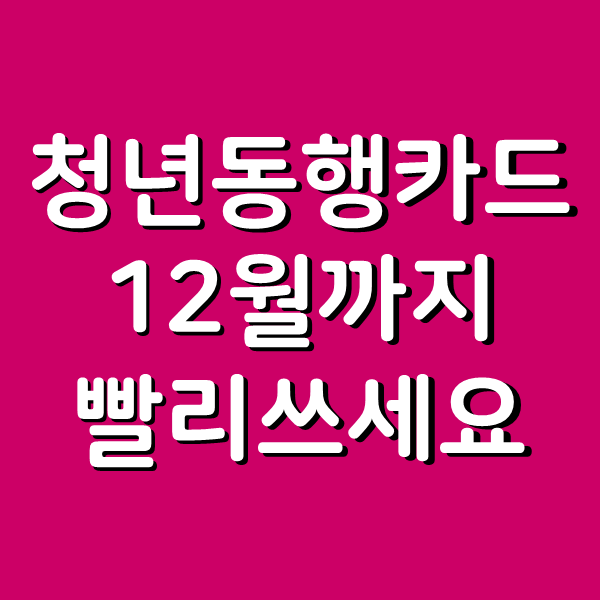  청년동행카드 폐지, 12월 안으로 교통비 5만원 뽕 뽑아버리세요