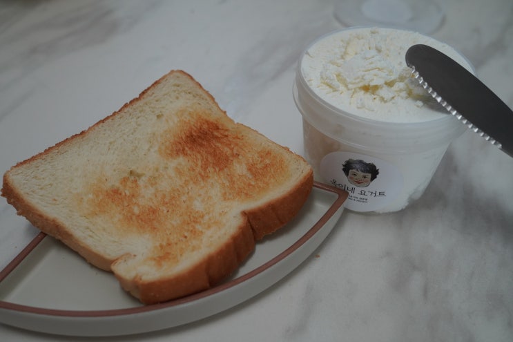  울산 그릭요거트 맛집 옥이네 요거트