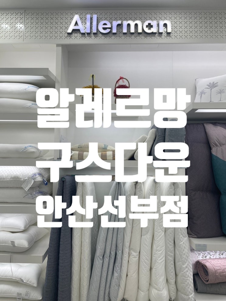 안산 알레르망 구스, 구스다운 보러 방문한 알레르망 안산선부점