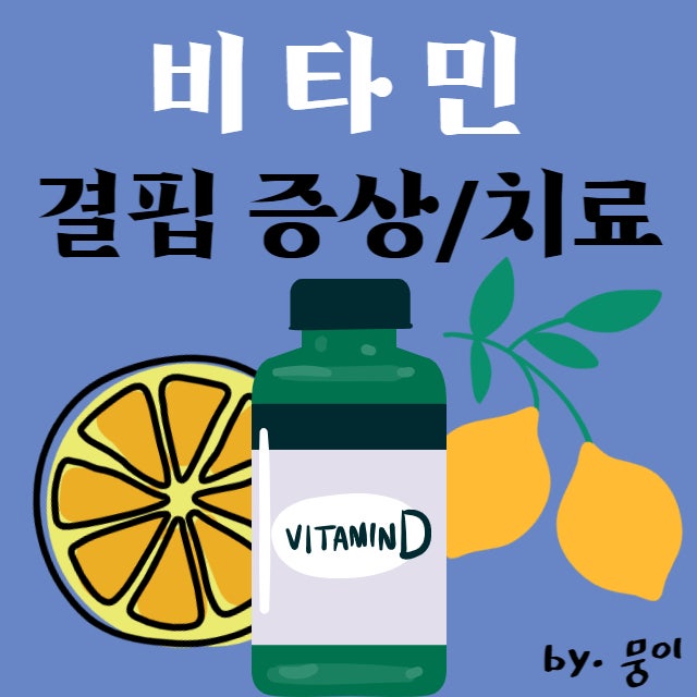  비타민 : 비타민 결핍 시 나타나는 증상/비타민 추천