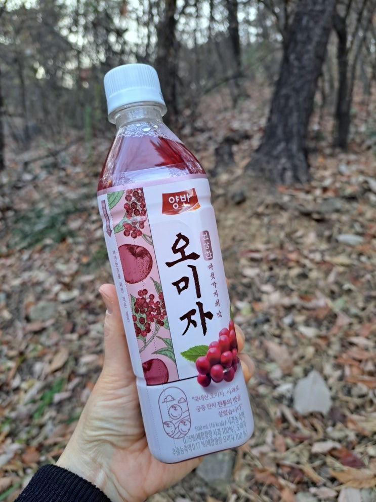 뒷맛 깔끔한 저칼로리 오미자음료 '동원 양반오미자' 뒷맛 깔끔한 저칼로리 오미자음료 '동원 양반오미자'
