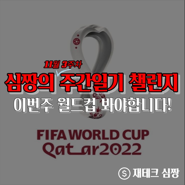  11월 3주 심짱의 주간일지 챌린지(트위터, 월드컵)