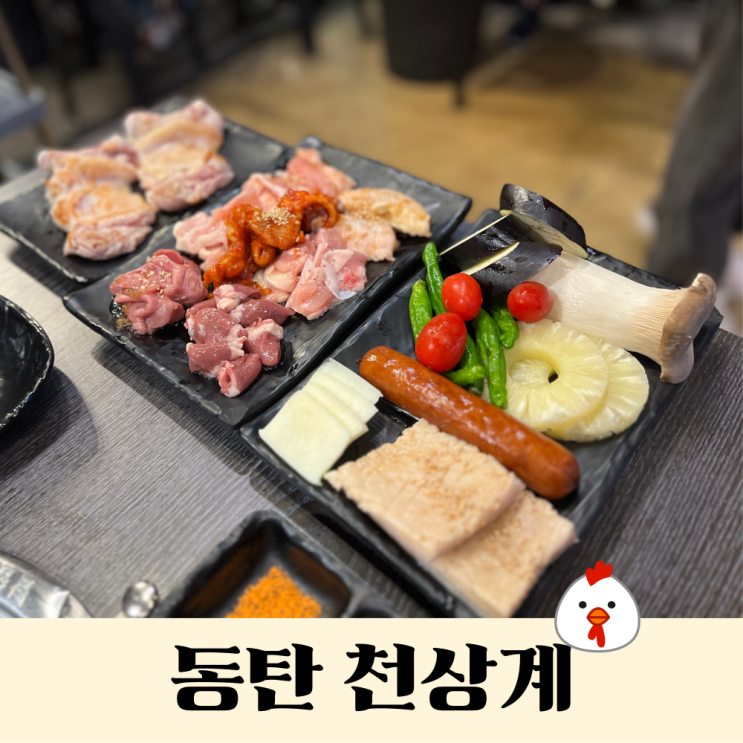  동탄호수공원맛집 | 닭 특수부위 구이 '천상계'