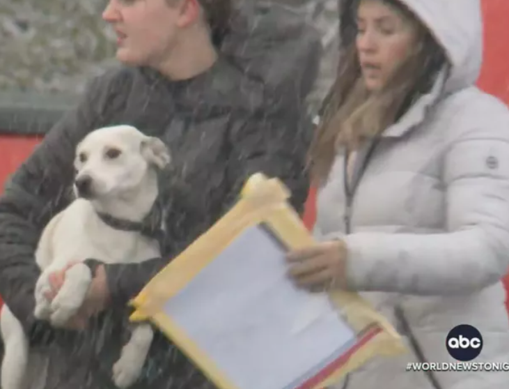 위스콘신에서 비행기 사고로 구조된 개를 입양한 첫 번째 구조대원들: '하늘에서 떨어지다'