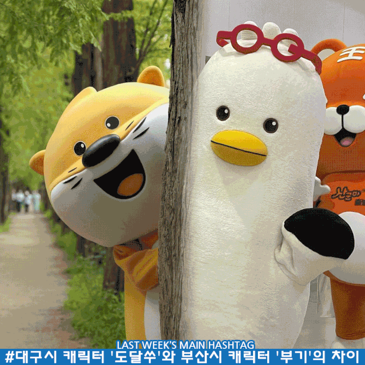 11월 4주차 두런 캐릭터 뉴스레터-대구시 캐릭터 '도달쑤'와 부산시 캐릭터 '부기'의 차이 外 11월 4주차 두런 캐릭터 뉴스레터-대구시 캐릭터 '도달쑤'와 부산시 캐릭터 '부기'의 차이 外