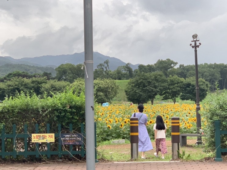  (#1일차~3일차) 22.07.30~08.01 경주 가족여행 2박 3일 모아보기