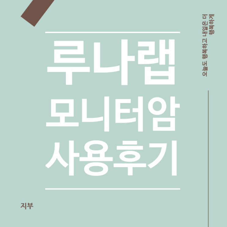 루나랩 모니터 암 라이트 설치 후기, 삼성 모니터 분해 설치방법