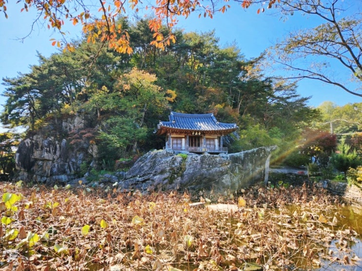  예천 가볼만한곳 초간정, 문경 가볼만한곳 주암정, 경체정