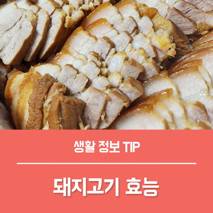  돼지고기 효능 BEST 7 김장 수육 양산 수육 배달 후계자 식육점 수육 1관 가격