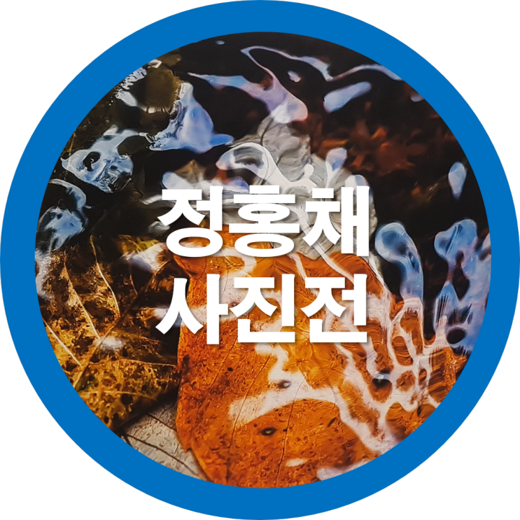  사진전시회  구미전시회중 유영의 美 정홍채 개인사진전