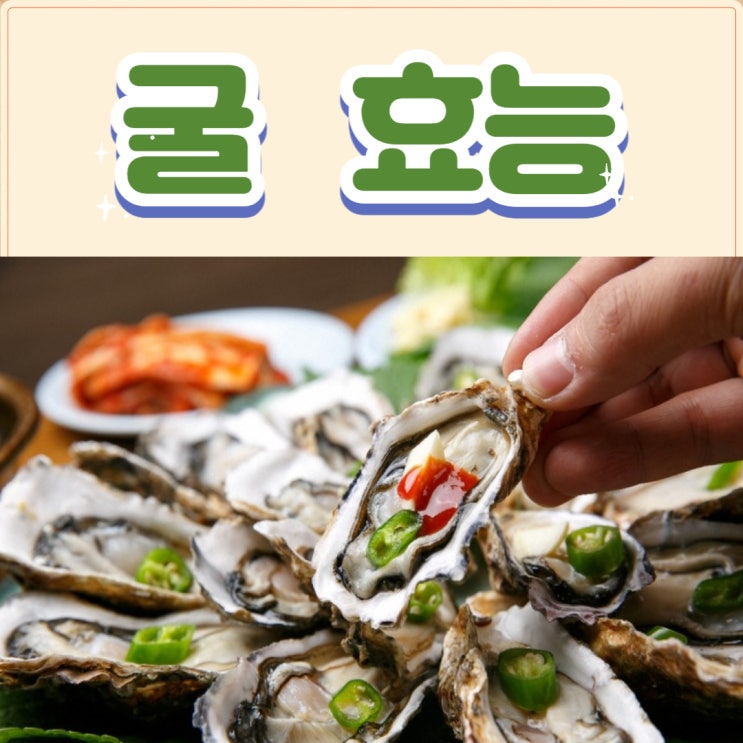  굴 효능 부작용 겨울철 노로바이러스 주의